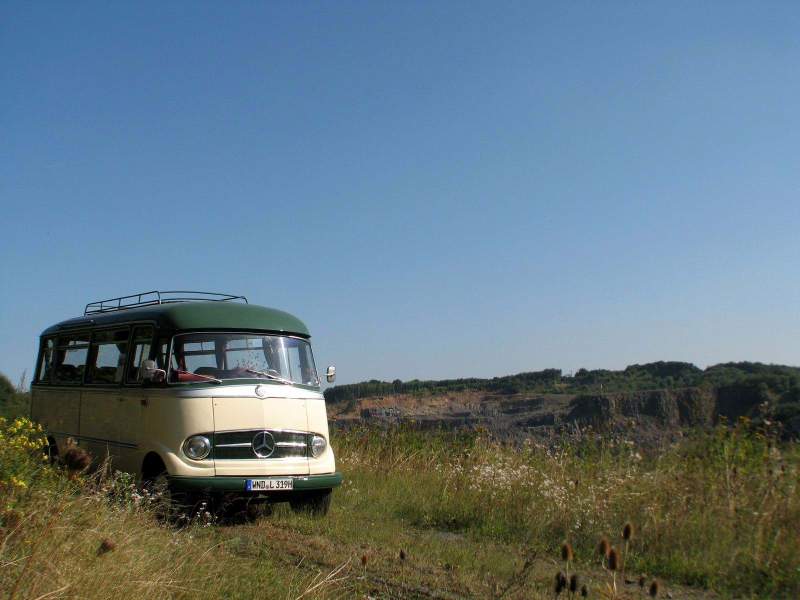 Elo IMG_6351